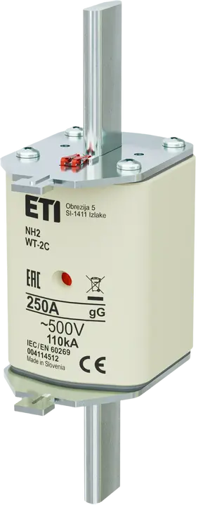 Obraz NH2C gG 250A/500V G