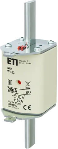 NH2C gG 250A/500V G
