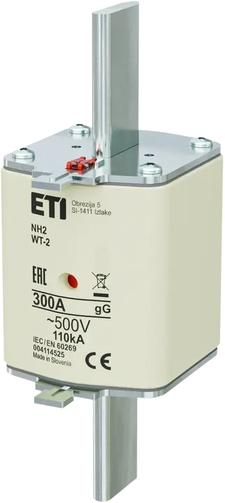 Obraz NH2 gG 300A/500V G