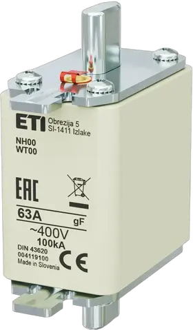 Obraz NH00 gF 63A/400V