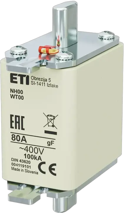 Obraz NH00 gF 80A/400V