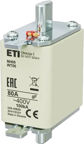 Obraz NH00 gF 80A/400V
