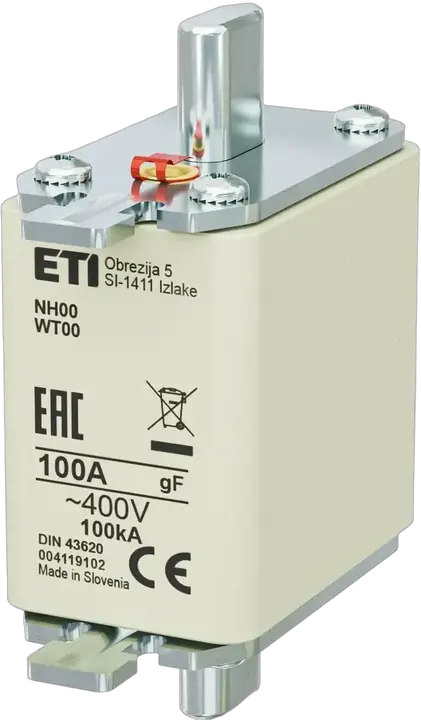 Obraz NH00 gF 100A/400V