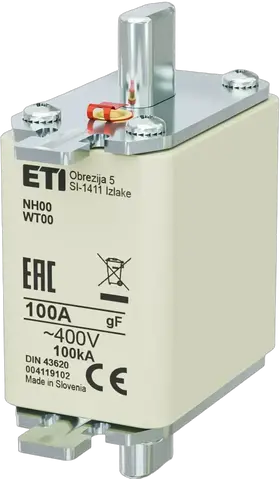 Obraz NH00 gF 100A/400V