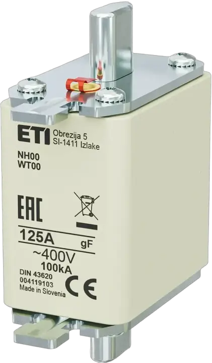 Obraz NH00 gF 125A/400V