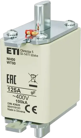 Obraz NH00 gF 125A/400V