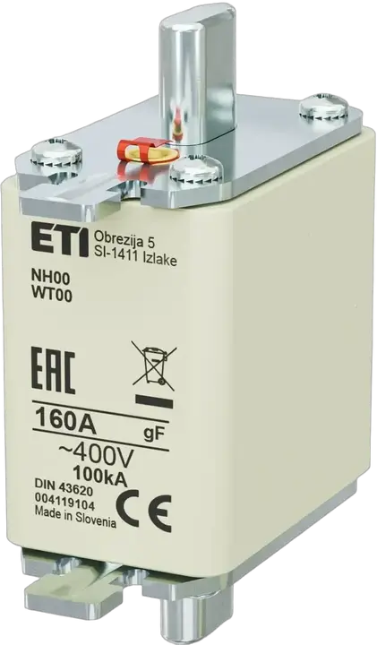 Obraz NH00 gF 160A/400V