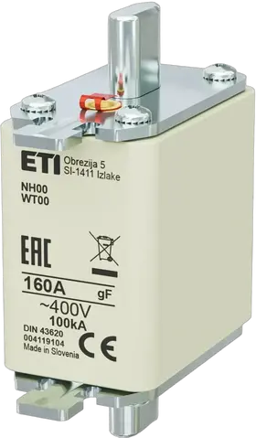 Obraz NH00 gF 160A/400V