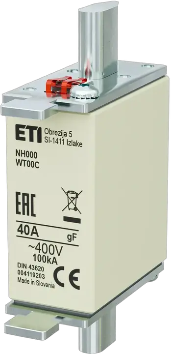 Obraz NH000 gF 40A/400V