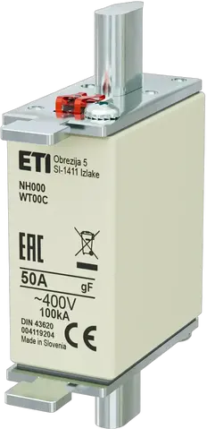 Obraz NH000 gF 50A/400V