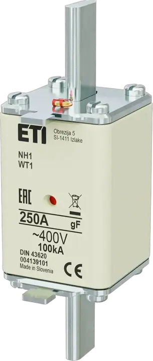 Obraz NH1 gF 250A/400V