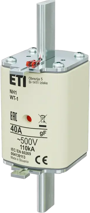 Obraz NH1 gF 40A/500V