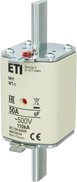 Obraz NH1 gF 50A/500V