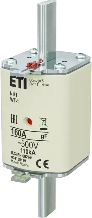 Obraz NH1 gF 160A/500V