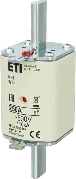 Obraz NH1 gF 250A/500V