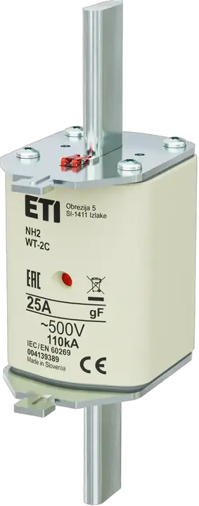 Obraz NH2C gF 25A/500V