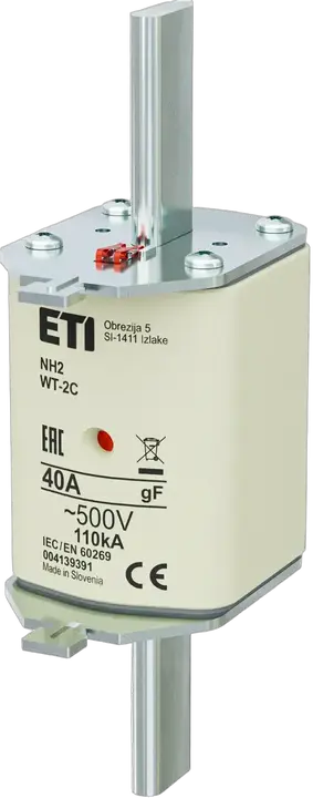 Obraz NH2C gF 40A/500V
