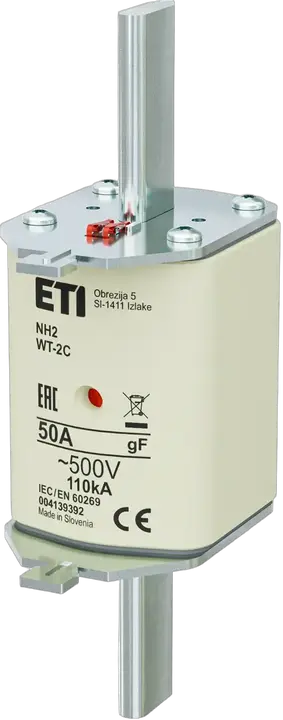 Obraz NH2C gF 50A/500V