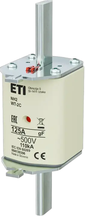 Obraz NH2C gF 125A/500V