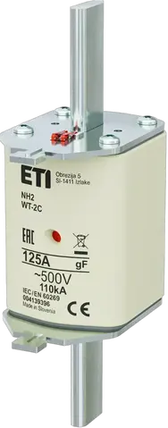 NH2C gF 125A/500V