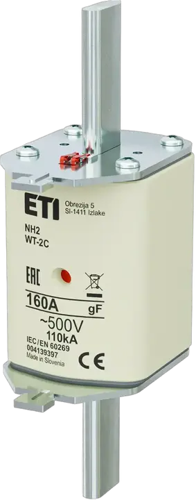 Obraz NH2C gF 160A/500V
