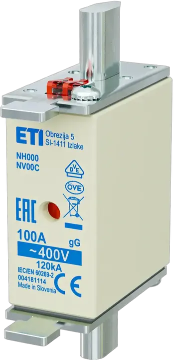 Obraz NH000 gG 100A/400V