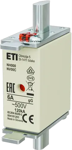 NH000 gG 6A/500V