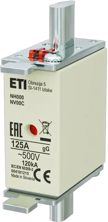 Obraz NH000 gG 125A/500V