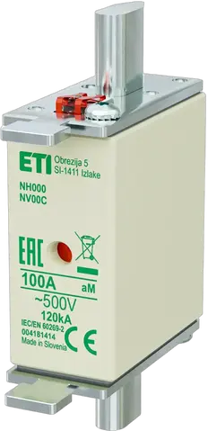 Obraz NH000 aM 100A/500V