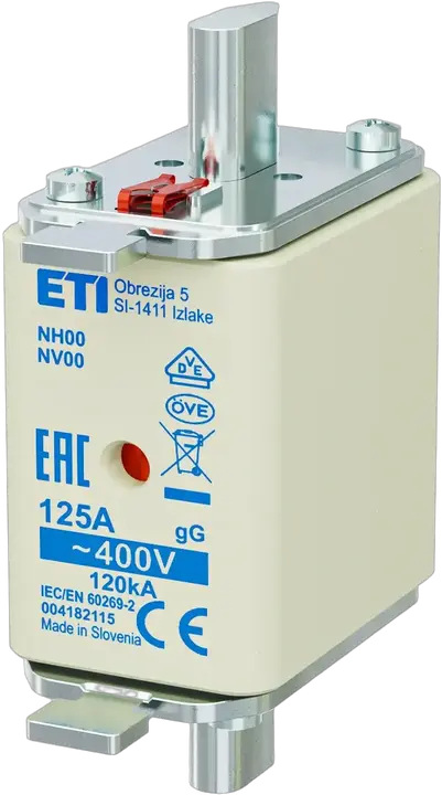 Obraz NH00 gG 125A/400V