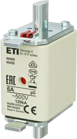 NH00 gG 6A/500V