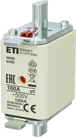 NH00 gG 160A/500V