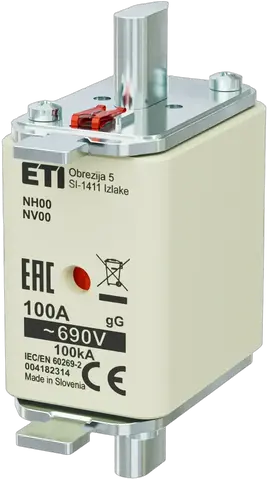 NH00 gG 100A/690V
