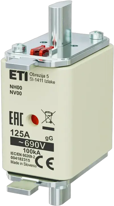 Obraz NH00 gG 125A/690V