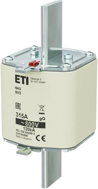Obraz *NH3 gG 315A/800V