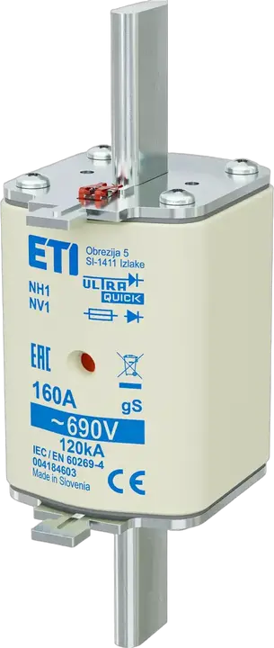 Obraz NH1 gS 160A/690V