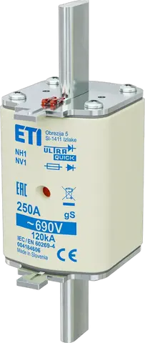 NH1 gS 250A/690V
