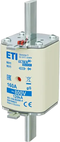 NH1 gS 160A/800V