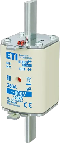 NH1 gS 250A/800V