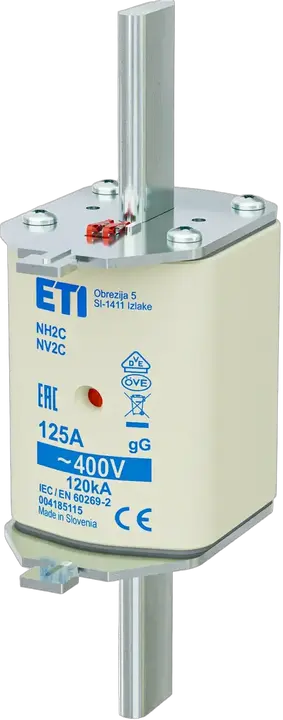 Obraz NH2C gG 125A/400V