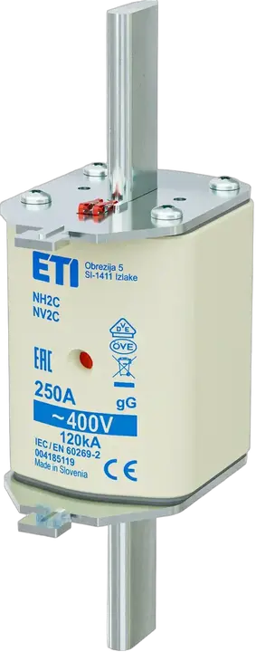 Obraz NH2C gG 250A/400V