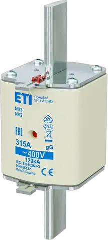 NH2 gG 315A/400V
