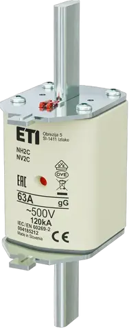 NH2C gG 63A/500V