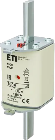 NH2C gG 100A/500V