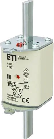 NH2C gG 160A/500V