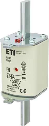 NH2C gG 224A/500V