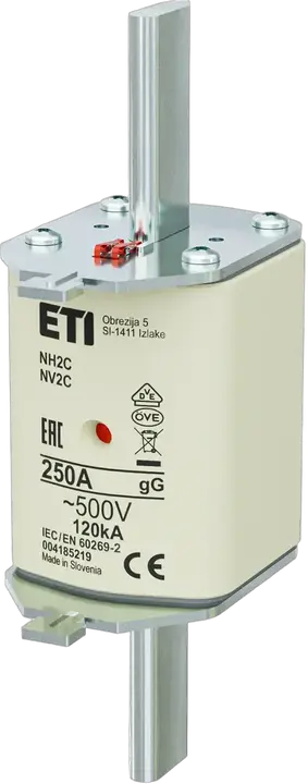 Obraz NH2C gG 250A/500V