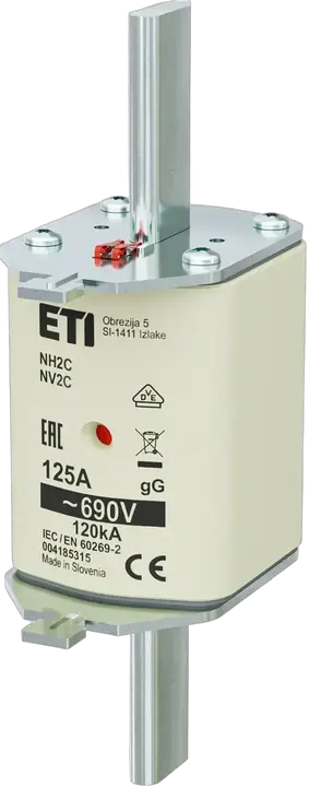 Obraz NH2C gG 125A/690V