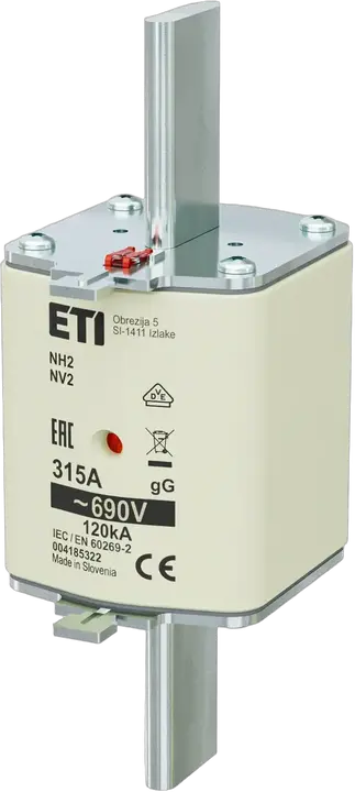 Obraz NH2 gG 315A/690V