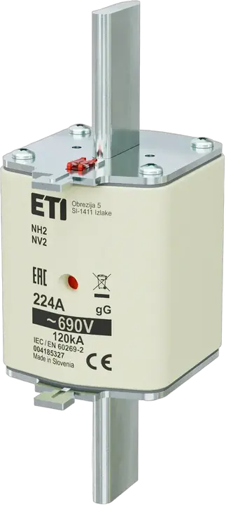 Obraz NH2 gG 224A/690V